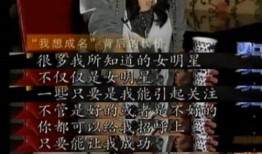 有料网官方网站 娱乐圈潜规则有哪些,暗流涌动的幕后真相